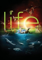 BBC Life 2009 720p 10bit BluRay x265 HEVC-budgetbits