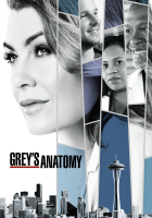 Grey's Anatomy 2005 S01-S20 480p AV1 10bit-Zero00