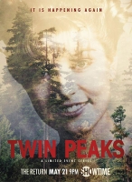 Twin Peaks S03E17 480p x264-mSD