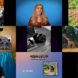 Howie Mandels Animals Doing Things S02E10 WEB x264-TBS
