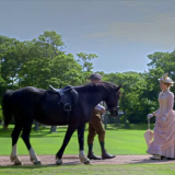 Million Dollar American Princesses S01 WEBRip AAC2 0 x264-UNDERBELLY