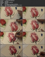 [ FreeCourseWeb ] Skillshare - Experience Watercolours- Botanical Rosebud