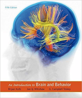 [ FreeCourseWeb ] An Introduction to Brain and Behavior, Fifth Edition