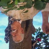 Spitting Image 2020 S01E04 WEB h264-SCONES[TGx]