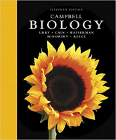 [ FreeCourseWeb ] Campbell Biology (11th Edition)