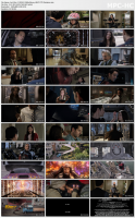 Ant Man 2 (2018) 1080p Bluray HEVC DTS Omikron
