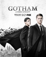 Gotham S04E02 480p x264-mSD