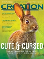 Creation Magazine 2019 Vol 41 issue 1 pdf