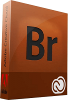 Adobe Bridge 2020 v10.0.2.131 (x64) Multilanguage [johdrxrt]