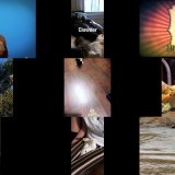 Howie Mandels Animals Doing Things S02E05 WEB x264-TBS
