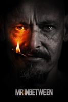Mr Inbetween S01-S03 COMPLETE SERIES 1080p WEBRip x265-HiQVE