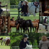 Heartland CA S12E02 1080p WEBRip x264-TBS