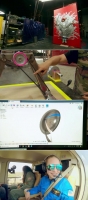MythBusters Jr S01 XviD-ZMNT