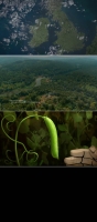 Cosmos Possible Worlds S01E04 720p x265-ZMNT