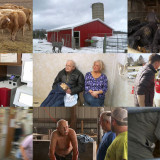 The Incredible Dr Pol S14E01 720p WEB x264-TBS