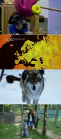 NOVA S47E02 480p x264-ZMNT