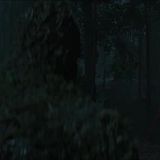Swamp Thing 2019 S01E08 XviD-AFG[TGx]