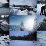 Life Below Zero S11E11 WEB x264-TBS