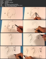 [ FreeCourseWeb ] Skillshare - How to Draw the Ear - The Best Way
