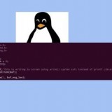Udemy - Linux System Programming