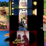 Howie Mandels Animals Doing Things S02E11 720p WEB x264-TBS