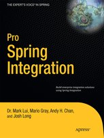 [ FreeCourseWeb ] Pro Spring Integration