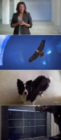 NOVA Wonders S01 720p x265-MeGusta