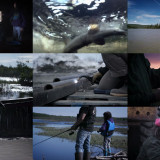 Life Below Zero S11E17 720p WEB x264-TBS